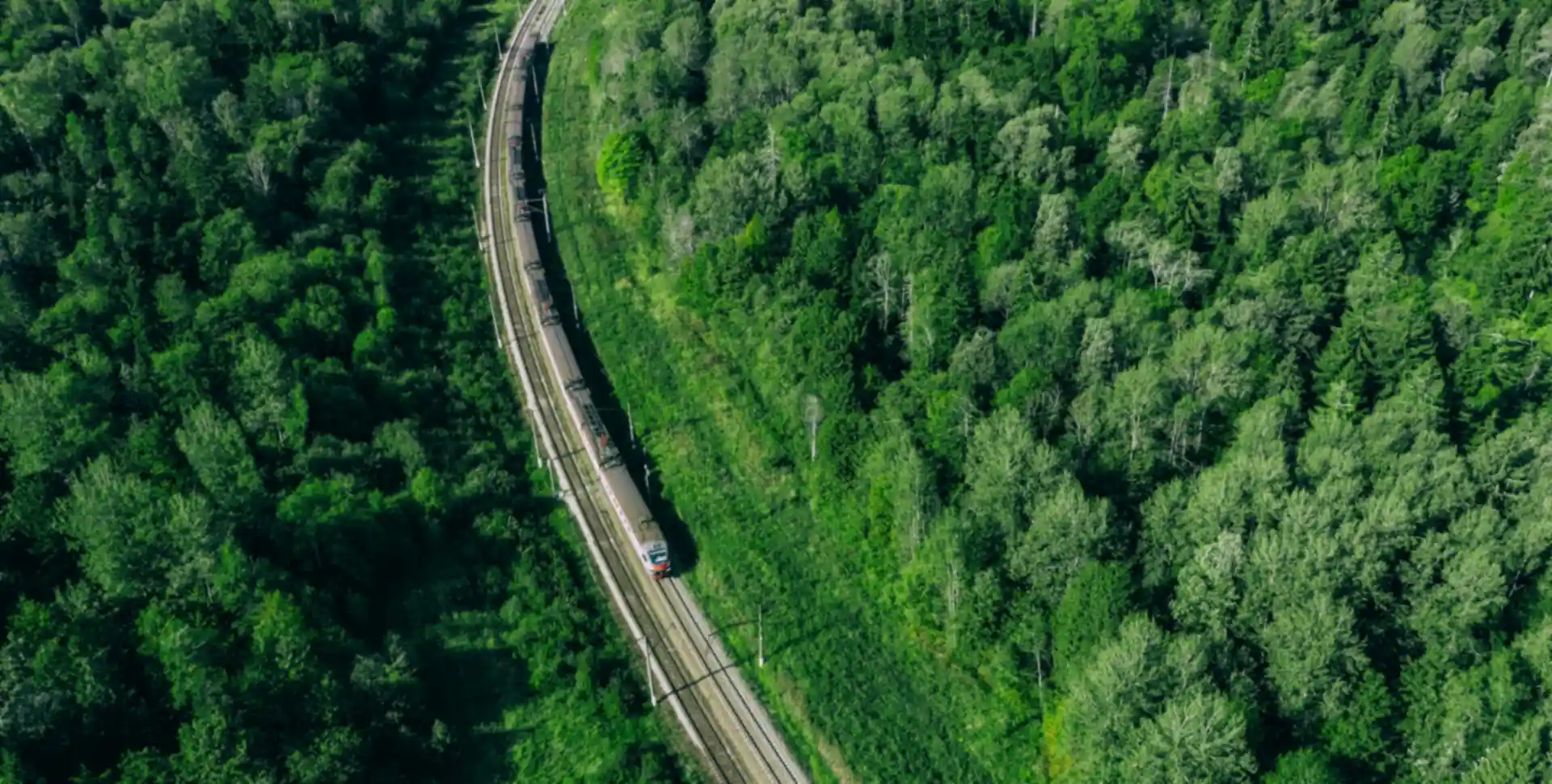 Vista a&eacute;rea de un tren circulando por una v&iacute;a a trav&eacute;s de un bosque verde